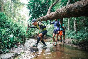 BIB: 
                            <button type="button" onclick="openModal(25369157)" class="btn btn-primary btn-sm float-right btn-popup" data-toggle="modal" data-target=".modal-high-quality">
                        <i class="fas fa-shopping-cart"></i> Add to Cart
                    </button>
                                            <button type="button" onclick="isThisMe(25369157, true)" class="btn btn-success btn-sm float-right btn-popup btn-isme hidden" data-toggle="tooltip" data-placement="bottom" title="นี่คือรูปของคุณใช่ไหม คลิกที่นี่เพื่อเอาเข้าอัลบั้ม">
                        <i class="fas fa-plus"></i> Add to album
                    </button>
                    <button type="button" onclick="isThisMe(25369157, false)" class="btn btn-warning btn-sm float-right btn-popup btn-isnotme hidden">
                        <i class="fas fa-ban"></i> Remove from album
                    </button>